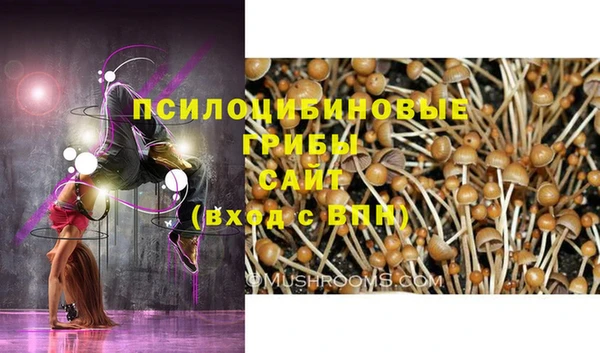 ECSTASY Абдулино