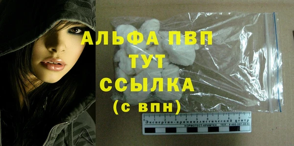 ПСИЛОЦИБИНОВЫЕ ГРИБЫ Новодвинск