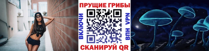 Псилоцибиновые грибы Psilocybe  ОМГ ОМГ ССЫЛКА  Соликамск 