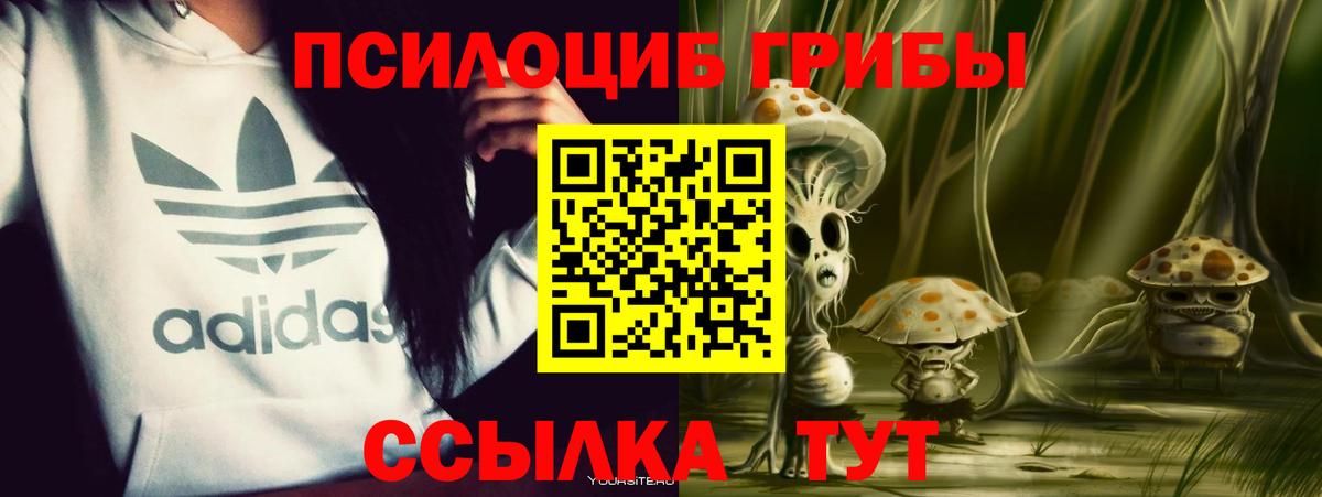 Псилоцибиновые грибы ЛСД  Вход с VPN  Псилоцибиновые грибы MAGIC MUSHROOMS  Соликамск 