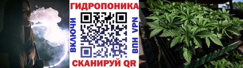 Марихуана план  купить закладку  Соликамск 